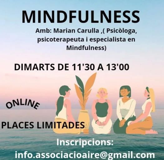 TALLER DE MINDFULNESS -INICI